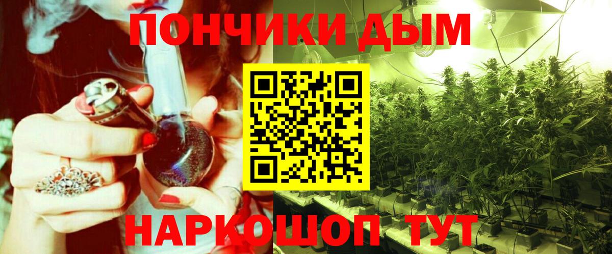 Конопля сатива Изобильный